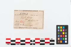 Etikett zu Bronzearmreif (NHMW-PRAE-025528)
